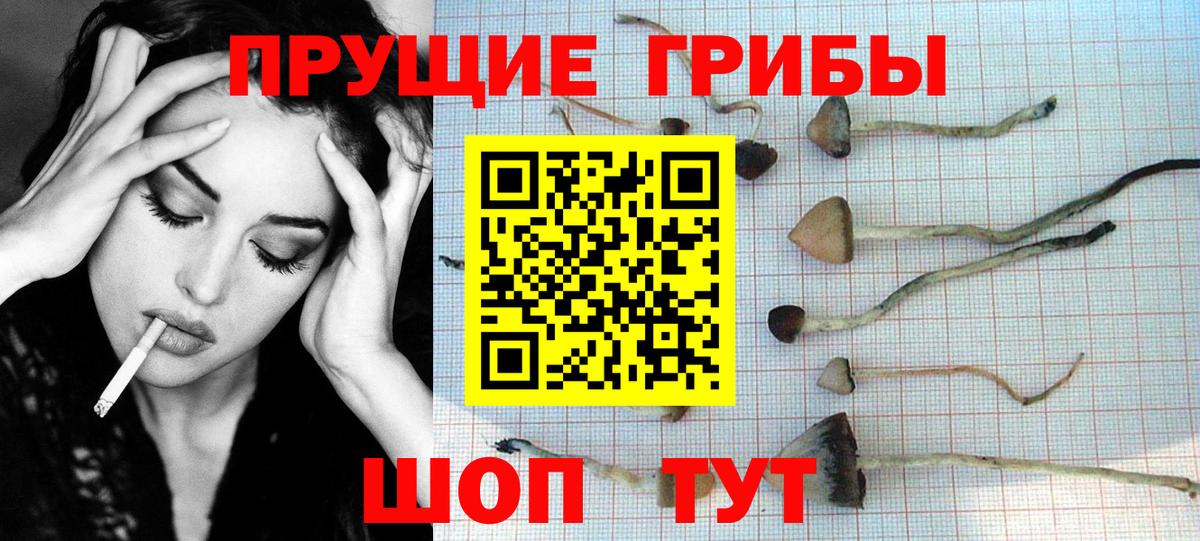 Псилоцибиновые грибы Psilocybe Мирный